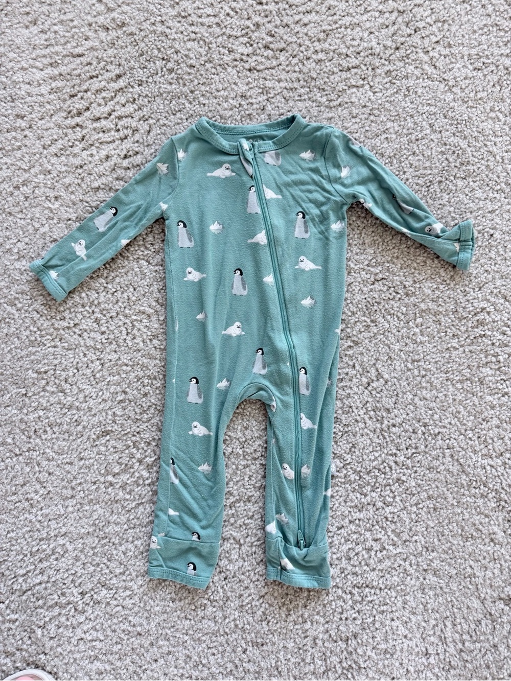 Kyte Baby “Cove Antarctic”